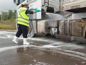 Descartados casos de influenza aviária em SC