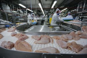 Exportação de carne cresce 20,8% nos primeiros meses de 2025