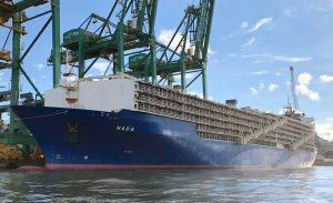 Maior navio boiadeiro do mundo parte do Brasil com 20 mil cabeças de gado