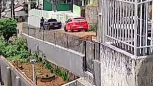 Homem fica cara a cara com uma onça-parda em plena cidade