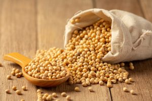 Cotações Agropecuárias: Acordo entre China e EUA fez mercado de soja disparar