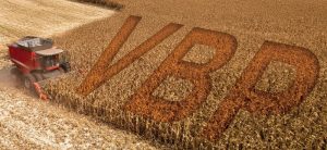VBP da Agropecuária deve crescer 13,1%