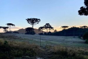 Onda de frio no campo acende alerta para culturas mais sensíveis