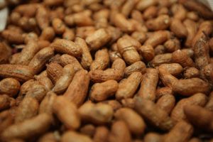 Chegou o mês das festas juninas e de um dos principais alimentos: o amendoim