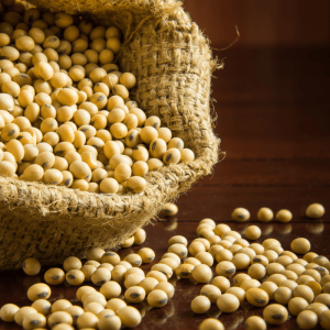 Projeto que permite pagar arrendamento com produtos agrícolas avança
