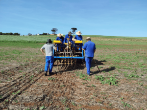 Hora de semear trigo: Recomendação é antecipar as lavouras