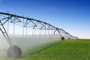 Projeto revoga taxa de irrigação