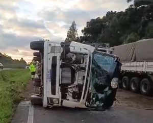 Caminhão tomba e 14 vacas se espalham pela rodovia