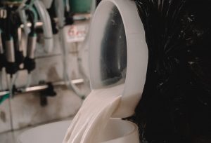Cenário de instabilidade traz preocupações a produtores de leite