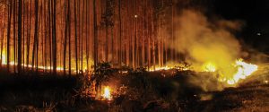 FAEP reforça prevenção a incêndios rurais