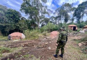 Fiscalização da Polícia Militar revela desmatamento e fornos de carvão ilegais