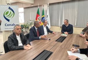 Setor arrozeiro busca soluções para desequilíbrio de preços