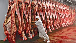 Estado registra o melhor preço da carne bovina exportada desde 2022