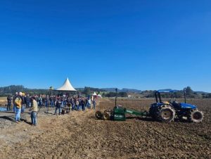 Entressafra: Tecnologias sustentáveis são decisivas para a produtividade do arroz