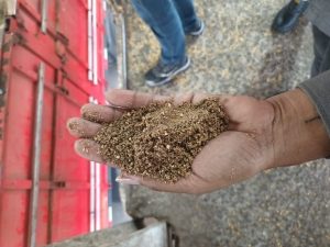 Farelo de soja misturado com areia, serragem e mofo é barrado no Porto