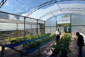 Estado terá nova tecnologia europeia para sistemas agrícolas