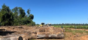 Ibama embarga 1.500 hectares de terra em operação