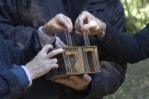 Tráfico internacional: IAT começa a devolver à natureza animais silvestres