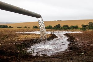 Dia Mundial de Combate à Seca: Ações são reforçadas para garantir oferta de água