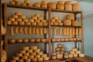 Queijo colonial do Sudoeste recebe registro do INPI