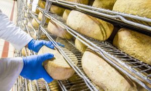 Decreto regulamenta processo administrativo de fiscalização agropecuária