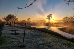 Inverno começa nesta sexta-feira e as temperaturas serão mais baixas que em 2024