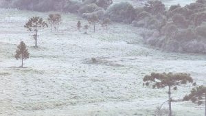 Frio extremo no Sul: Mínimas de até -9ºC