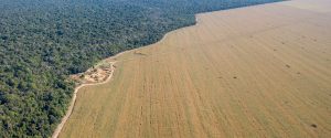 FAEP alerta: Produtor não é obrigado a vender terra