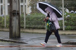 Primeira semana de junho terá chuva moderada