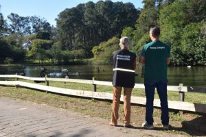Foco de gripe aviária é encerrado após 14 dias sem mortes de aves