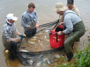 Estratégias de manejo amenizam impactos do frio nos peixes