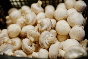 Anvisa suspende vendas de azeite, molho e polpa de fruta