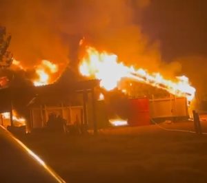 Incêndio de grandes proporções destrói aviário com 21 mil pintainhos