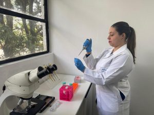 Baixas temperaturas aumentam risco de infecção viral em alevinos de tilápia