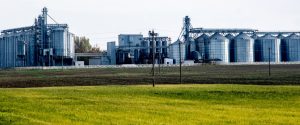 Déficit de armazenagem põe produção de grãos em risco