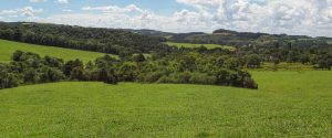 FAEP avalia como positivo projeto que flexibiliza licenciamento ambiental