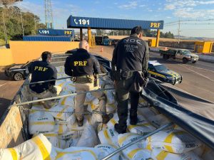 Operação conjunta apreende caminhão carregado com agrotóxicos contrabandeados
