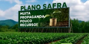 Plano Safra 2025/26: a maior taxa de juros já paga pelo produtor rural