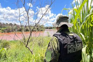 PMPR resgata 216 animais e interrompe desmatamento de 159 hectares