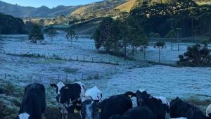 Amanhecer gelado pelo país tem mínimas de -7º C