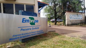 Embrapa usa satélites para ajudar produtor