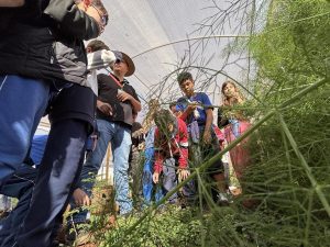 Encontro de gerações e visita a horta marcam ação da semana do agricultor