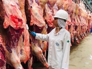 Privatização das inspeções agropecuárias ameaça exportações de carne