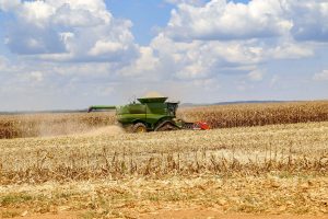 Adesão obrigatória à nota fiscal eletrônica do produtor rural é adiada