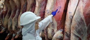 Programa beneficia produtores de carne de animais mais jovens
