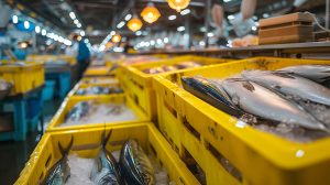 Estado quer dinamizar e acelerar o desenvolvimento do setor aquícola