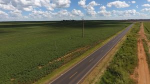 Projeto “Fazenda Corredor” permite plantio na faixa de domínio