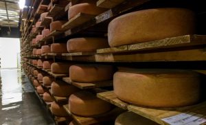 Brasil exporta queijo à base de leite cru para os EUA