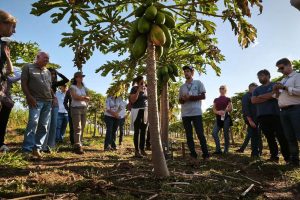 Estado e Banco Mundial alinham ações para Segurança Hídrica no campo