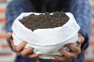 Setor de fertilizantes cresce dois dígitos e garante abastecimento da safra 2024/2025